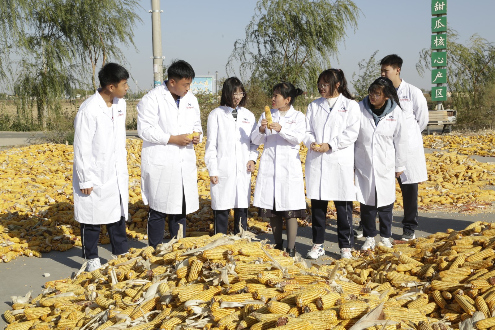 图4：项目组教师石瑞指导学生进行社会实践.jpg