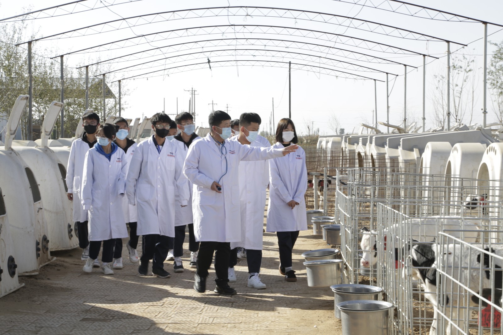 图1：项目组教师边强指导学生进行社会实践活动.jpg
