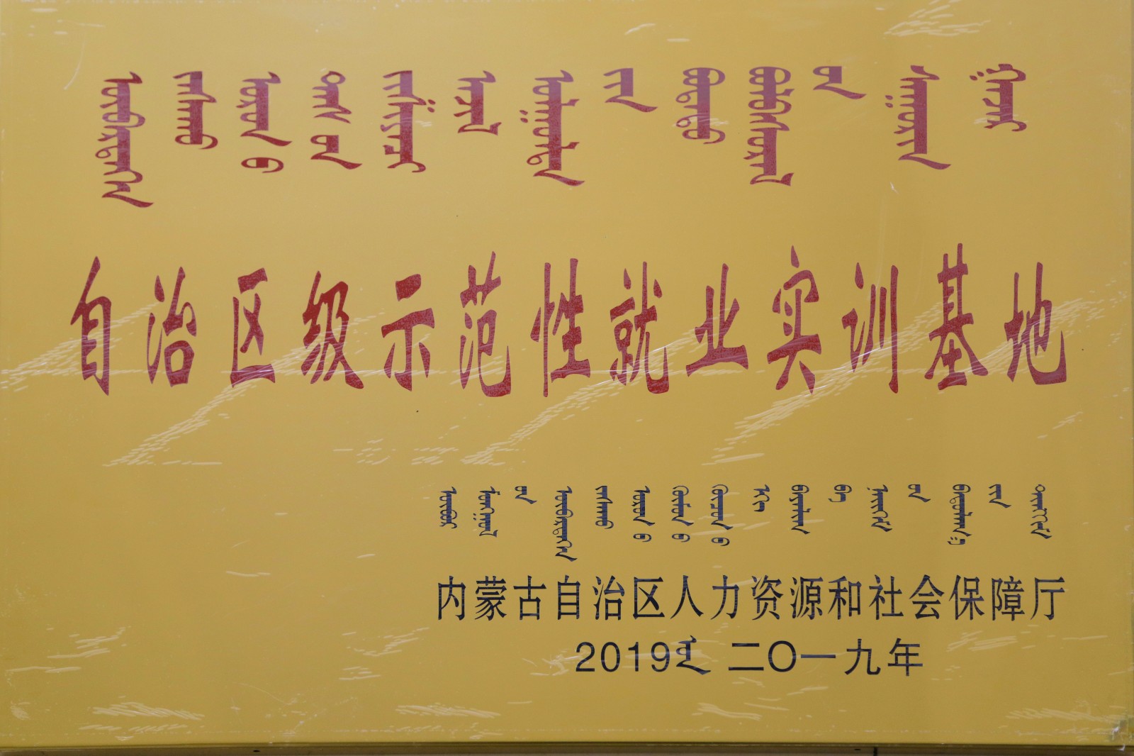 自治区级示范性就业实训基地.jpg