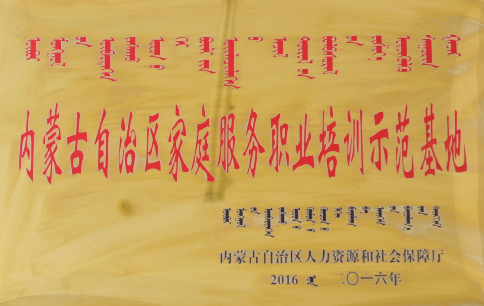 内蒙古自治区家庭服务职业培训示范基地.jpg